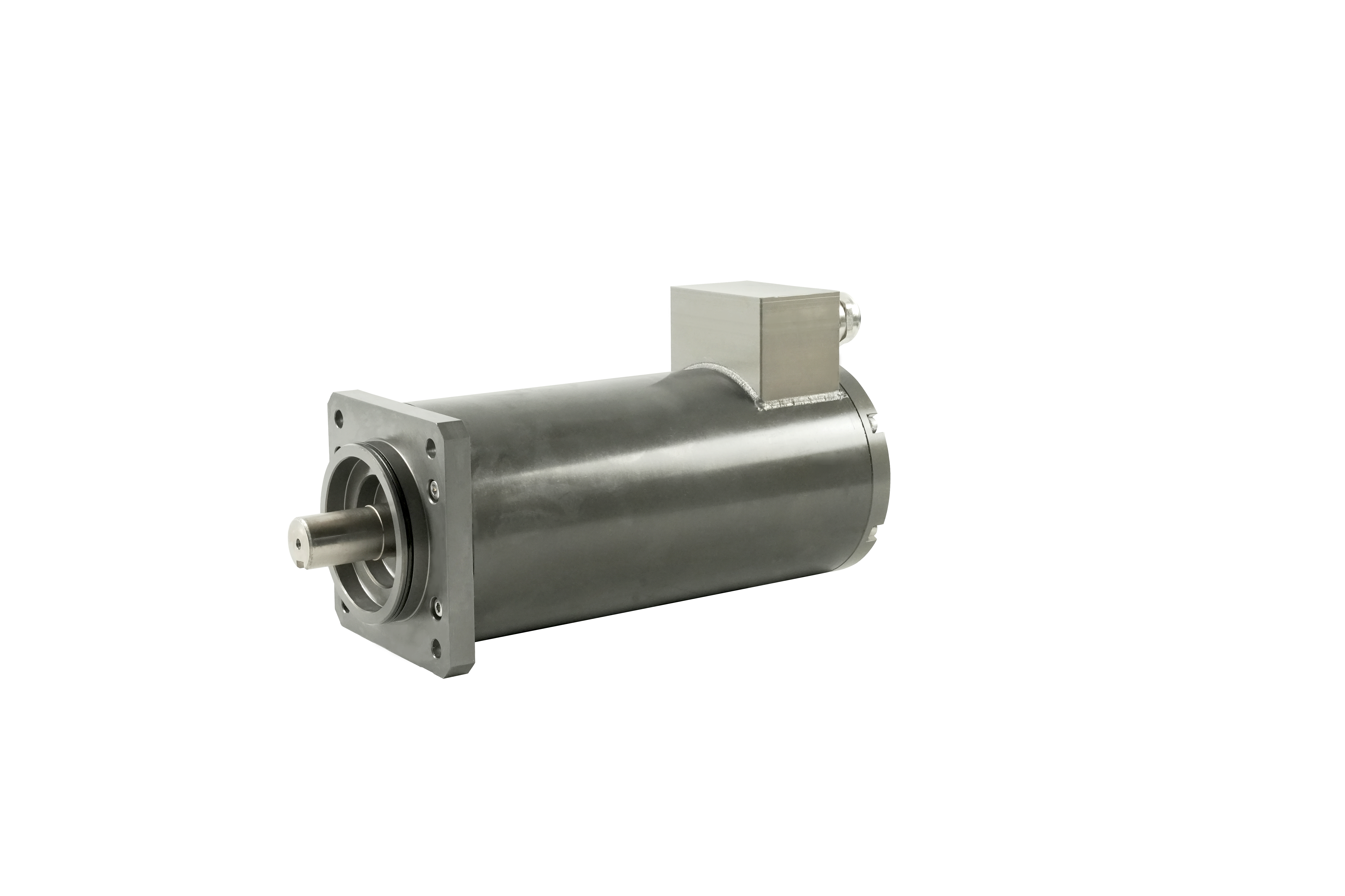 水下減速直流伺服電機